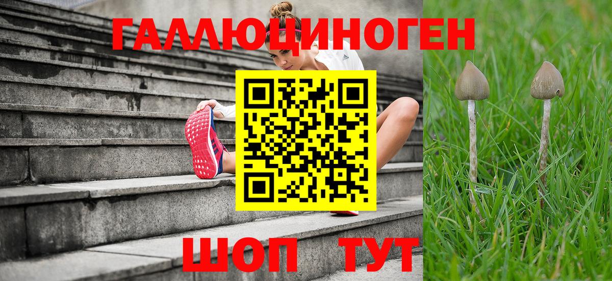 Псилоцибиновые грибы ЛСД Апатиты