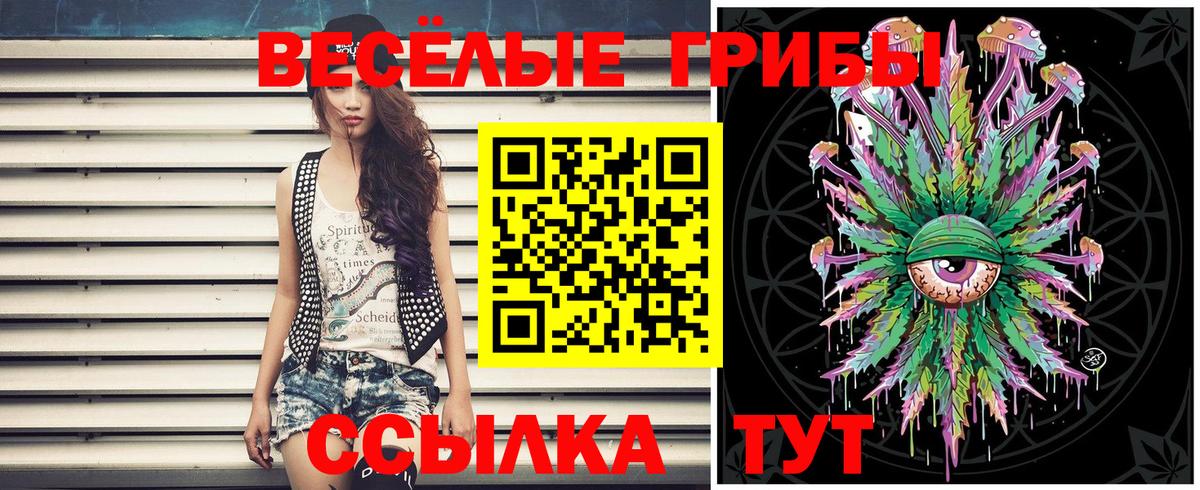 Апатиты  Псилоцибиновые грибы Psilocybine cubensis  Псилоцибиновые грибы Cubensis  Вход с VPN 